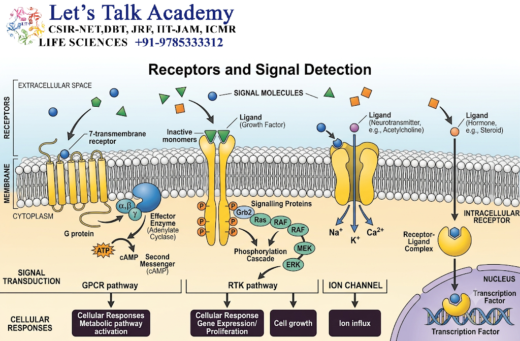 Receptors and Signal Detection