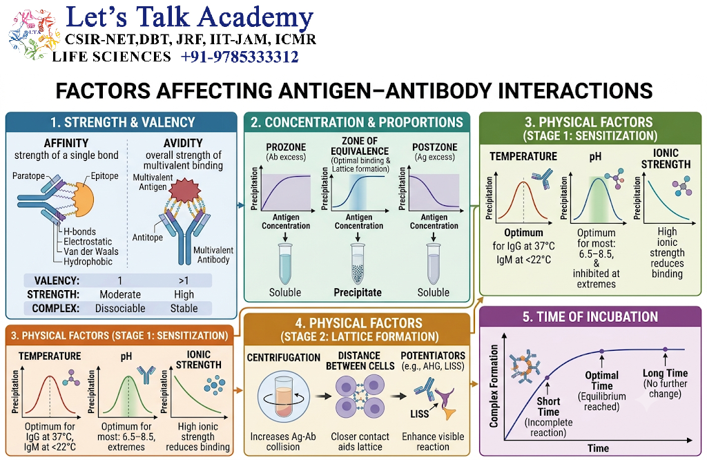 Factors Affecting Antigen–Antibody Interactions