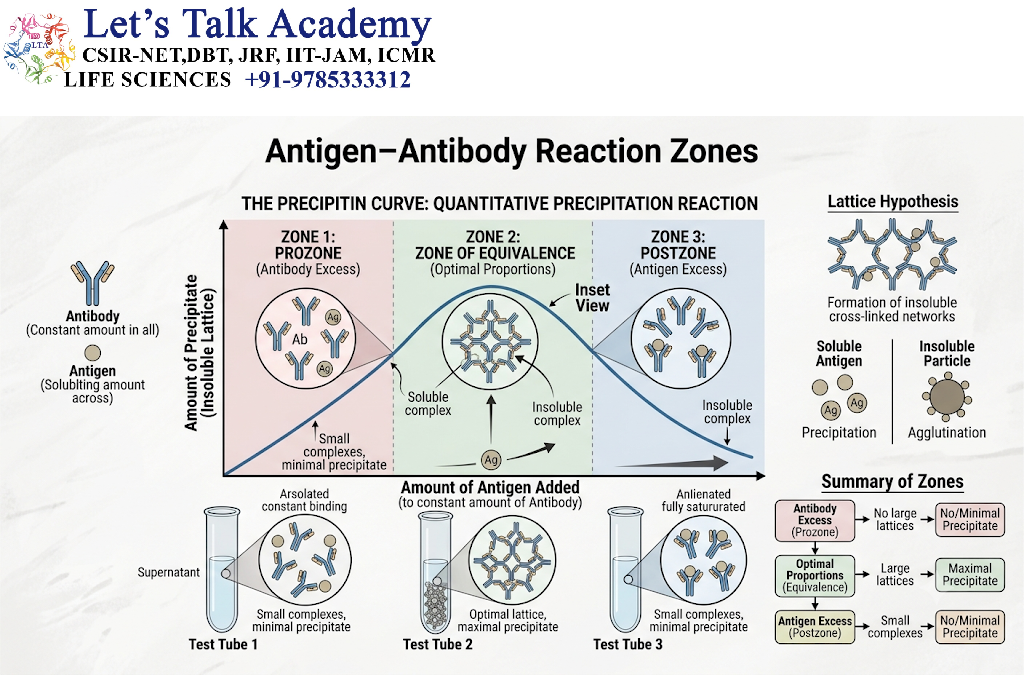 Antigen–Antibody Reaction Zones
