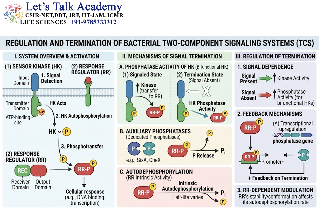 Regulation and Termination of Two-Component Signaling