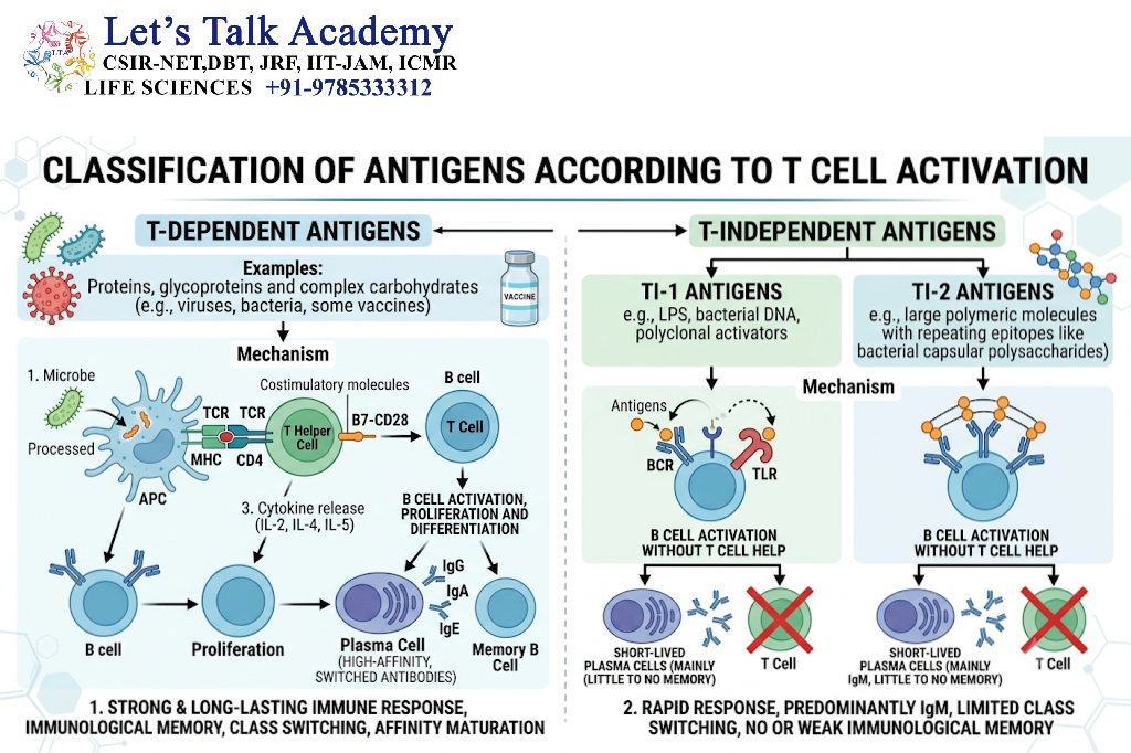Classification of Antigens According to Their Source