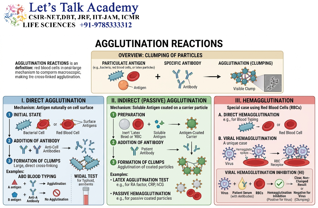 Agglutination Reactions