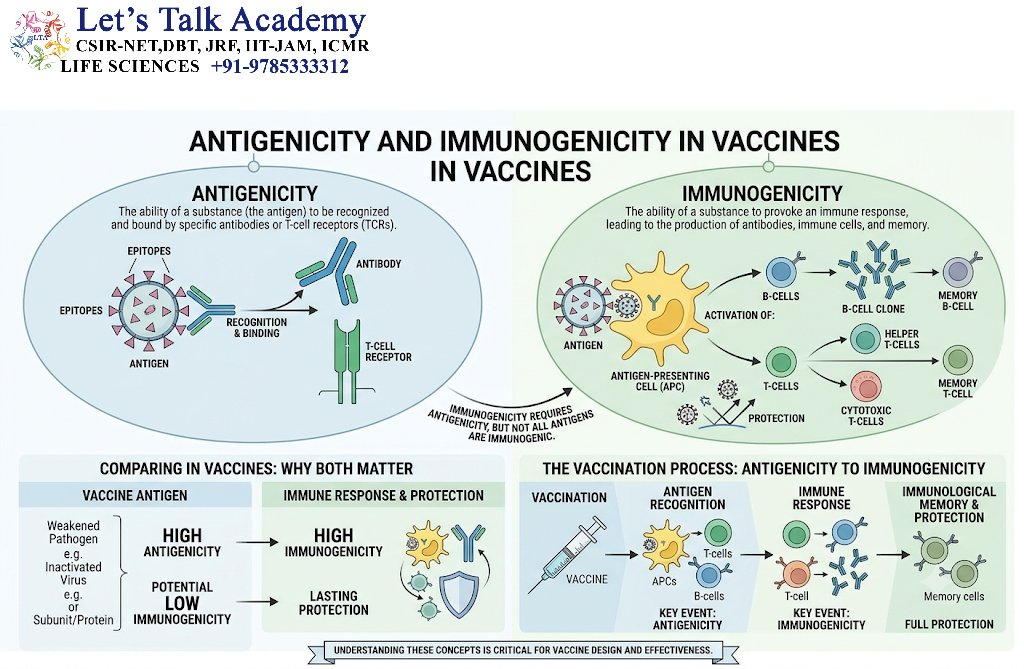 Antigenicity and Immunogenicity in Vaccines