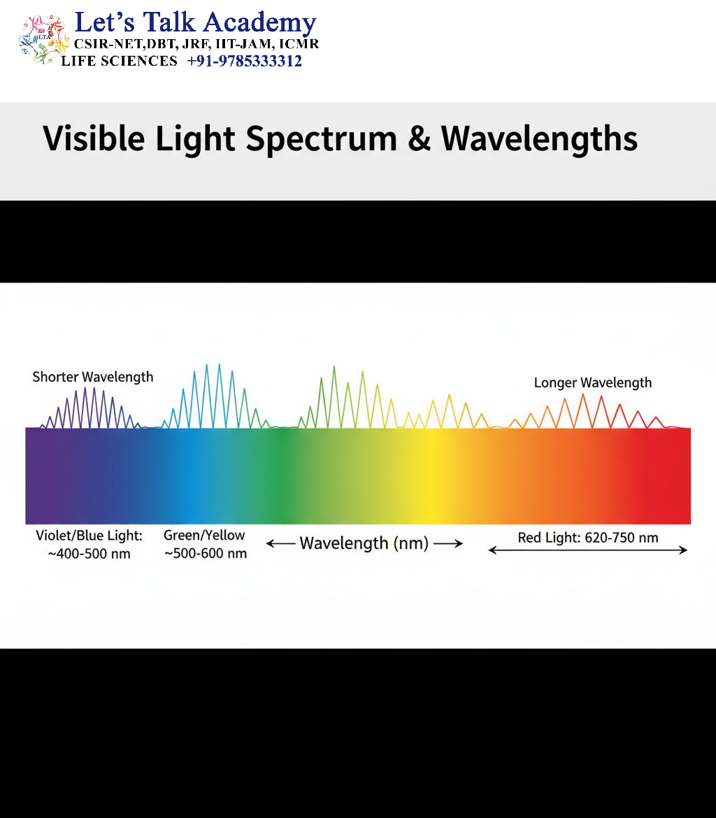 Wavelengths Involved in Plant Light Responses