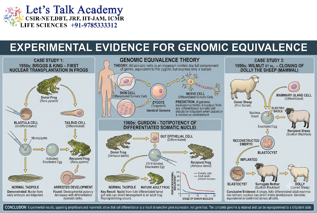 Experimental Evidence for Genomic Equivalence