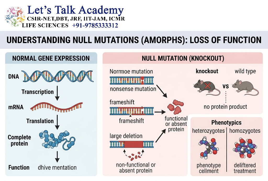 Null Mutation