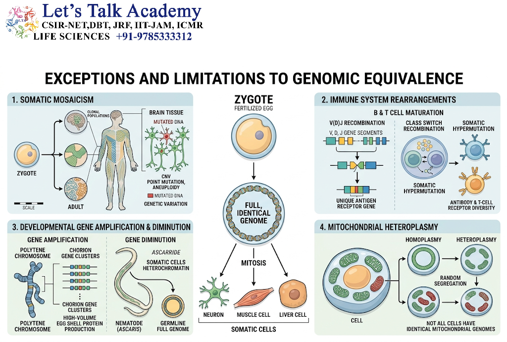 Exceptions and Limitations to Genomic Equivalence