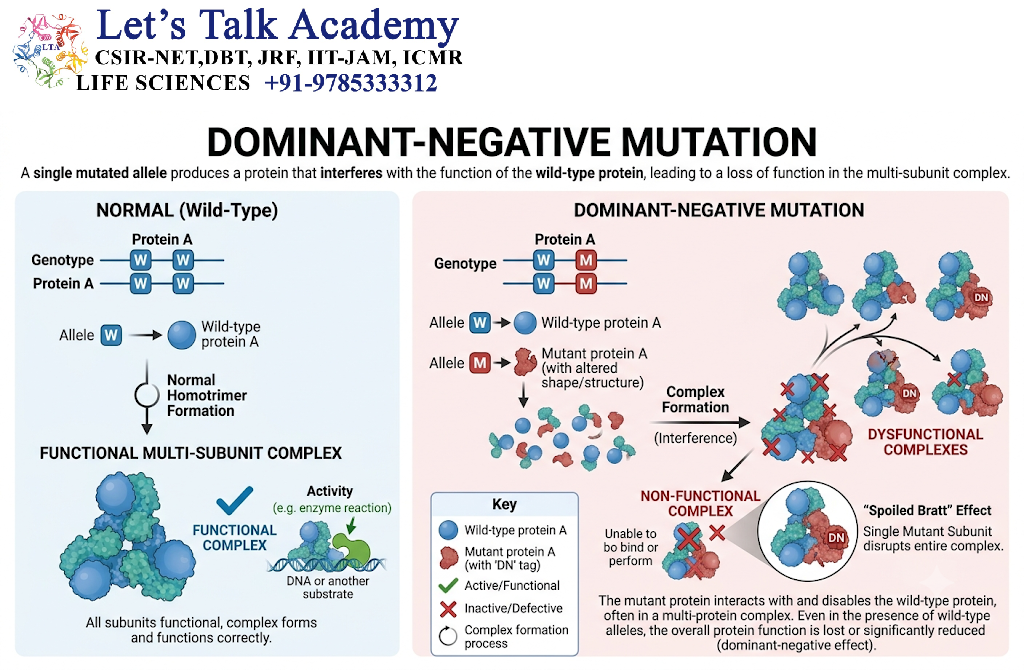 Dominant-Negative Mutation