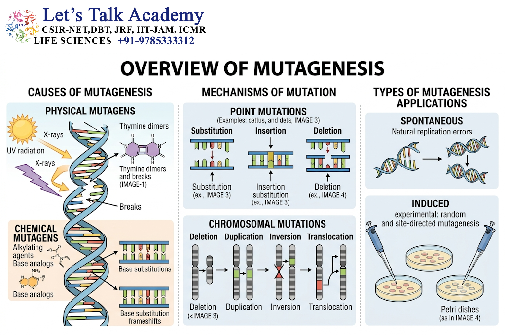 Mutagenesis