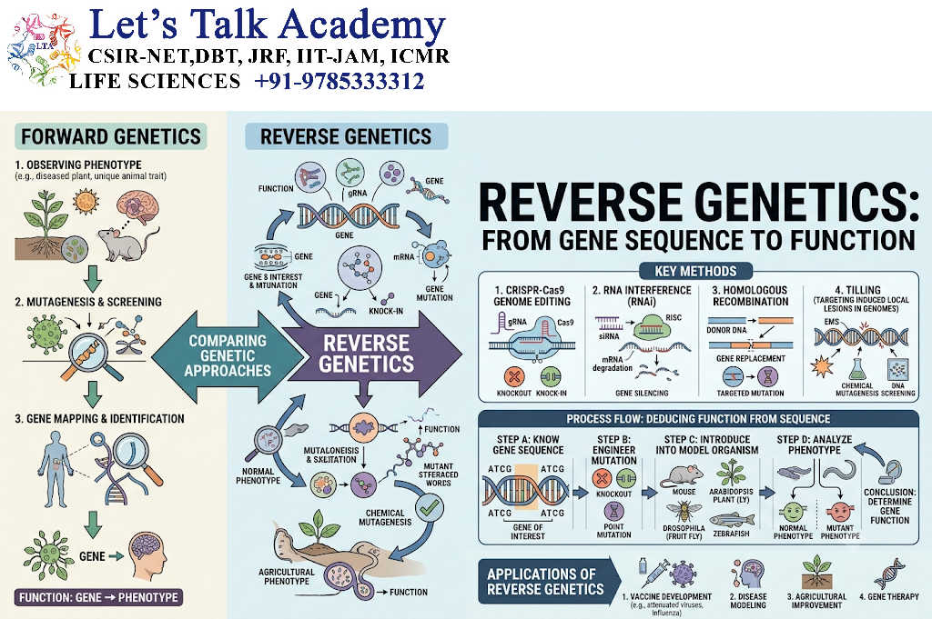 Reverse Genetics