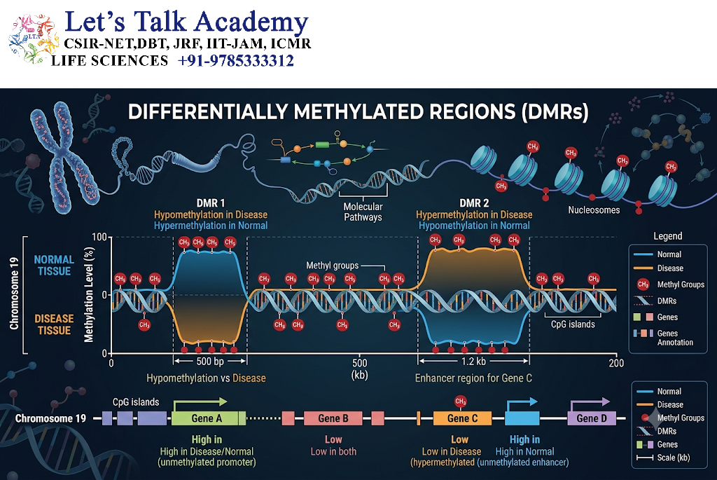 Differentially Methylated Regions