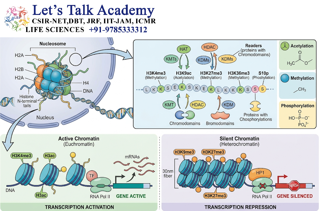 Histone Modifications
