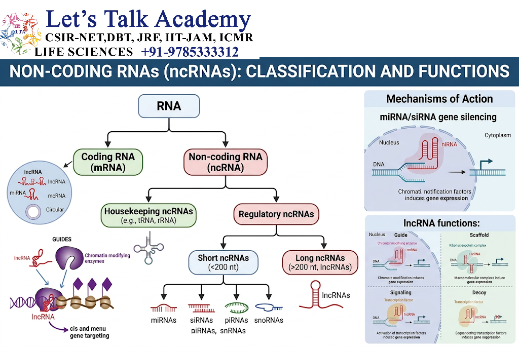 Non-Coding RNAs