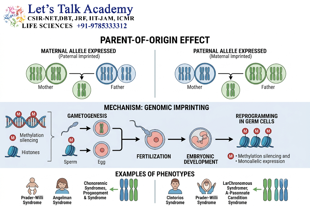 Parent-of-Origin Effect